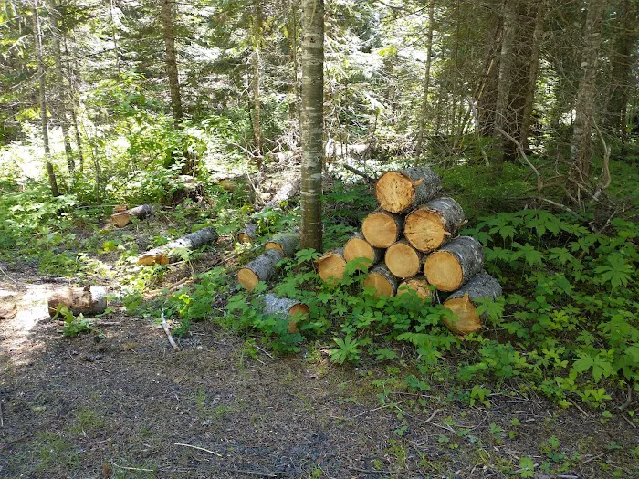Emerald Creek Campground 4