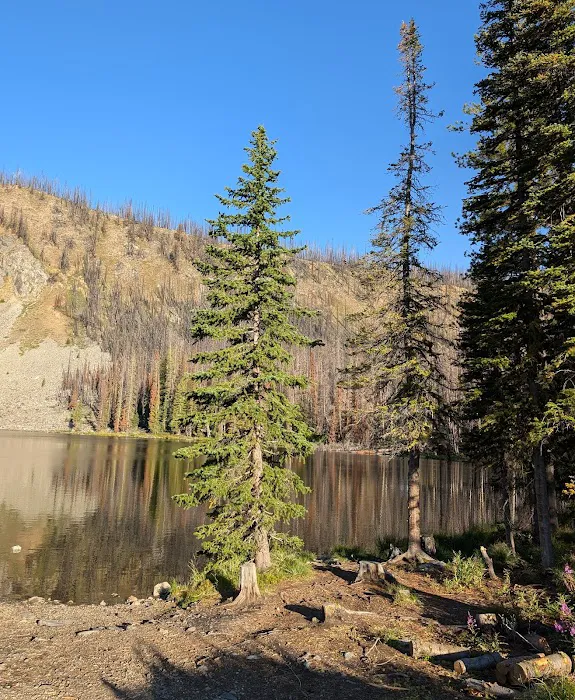 Wallace Lake Campground 2