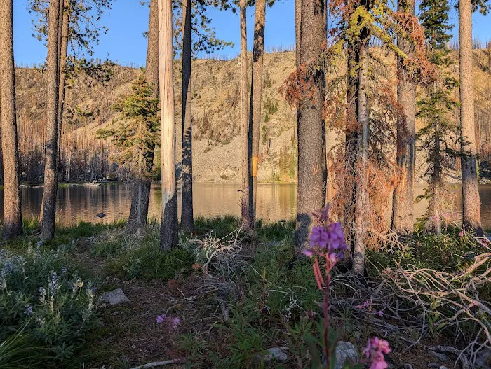 Wallace Lake Campground 6