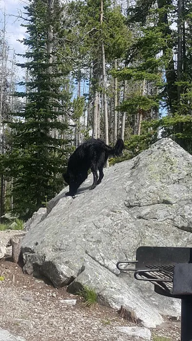 Wallace Lake Campground 9