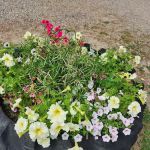 Andreas On The River RV Park