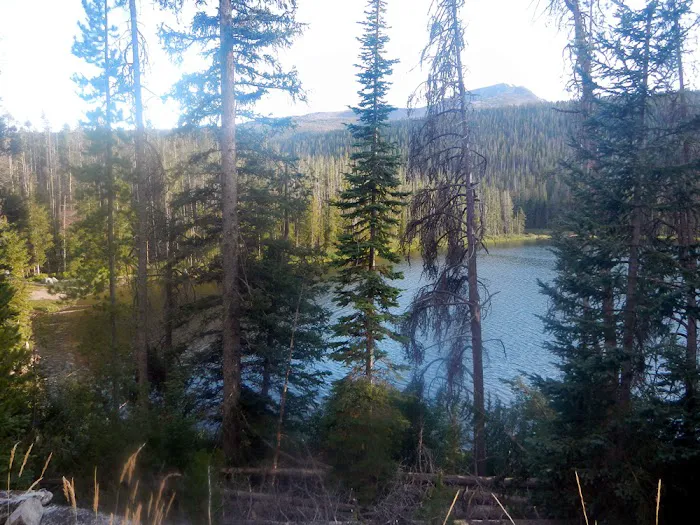 Twin Lakes Campground 5