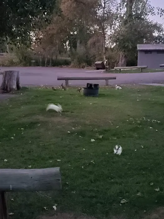 Shoup Bridge Campground 7