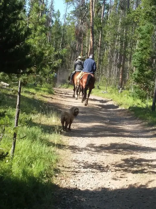 Miner Lake Campground 1