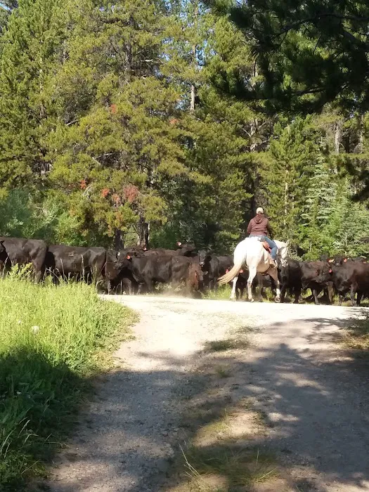 Miner Lake Campground 9