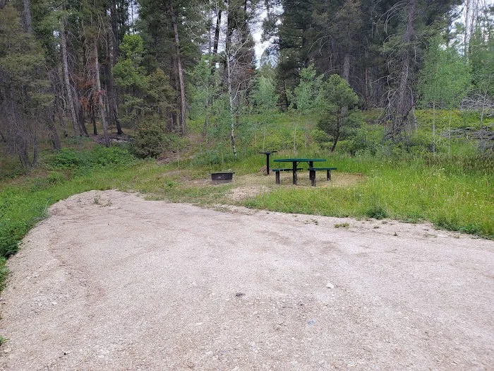 Cougar Point Campground 8