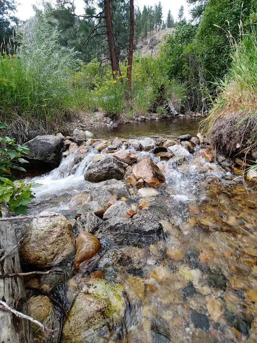 Spring Creek Campground 1