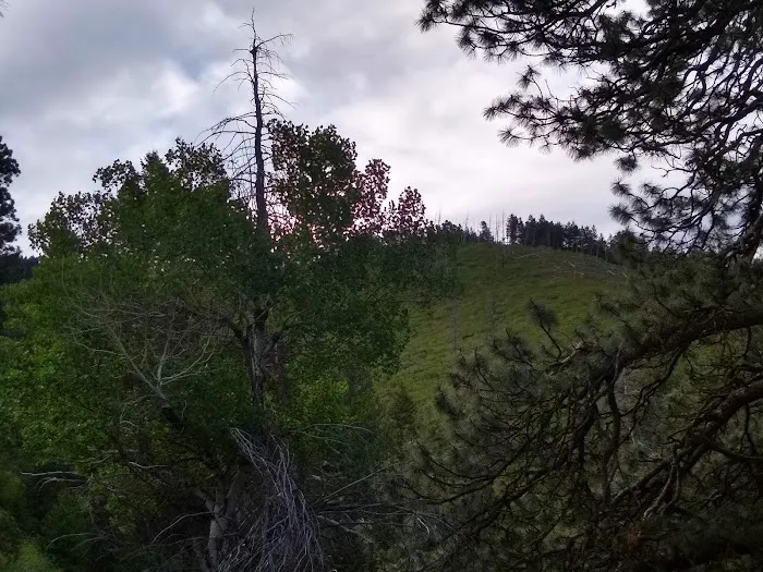 Lower Lava Mountain Trailhead 3