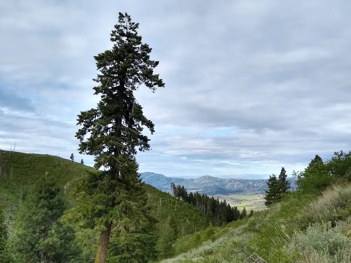 Lower Lava Mountain Trailhead 4