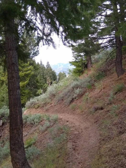 Lower Lava Mountain Trailhead 7