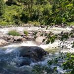 COLD SPRINGS CAMPGROUND - BOISE NF (recgovnpsdata)