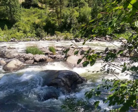 COLD SPRINGS CAMPGROUND - BOISE NF (recgovnpsdata)