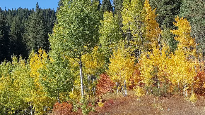 Snowmobile Parking Campground 2