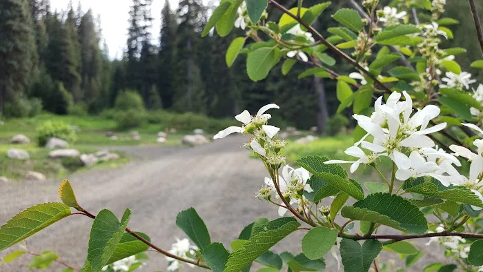 Snowmobile Parking Campground 7