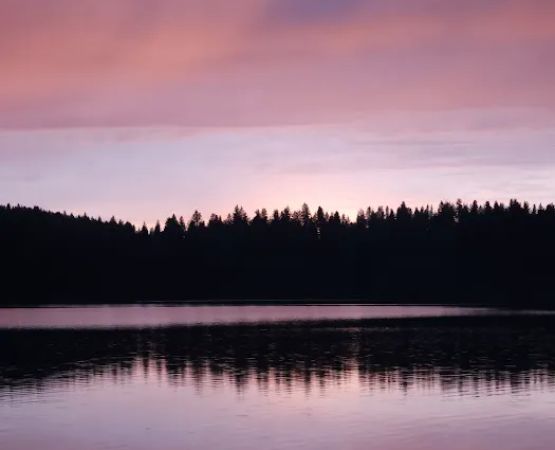 Hollywood Point Campground