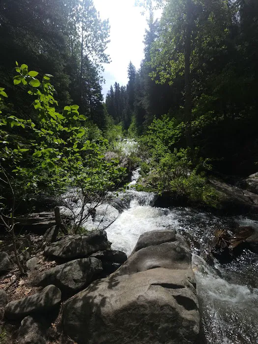 Hollywood Point Campground 6