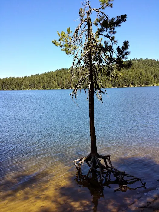 Hollywood Point Campground 4