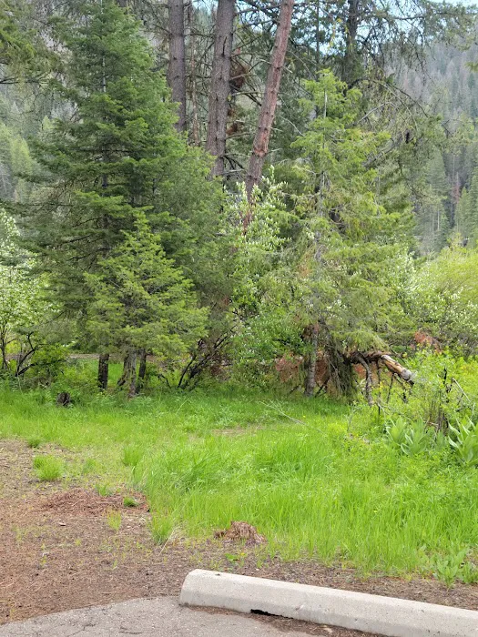 Sage Hen Creek Campground 4