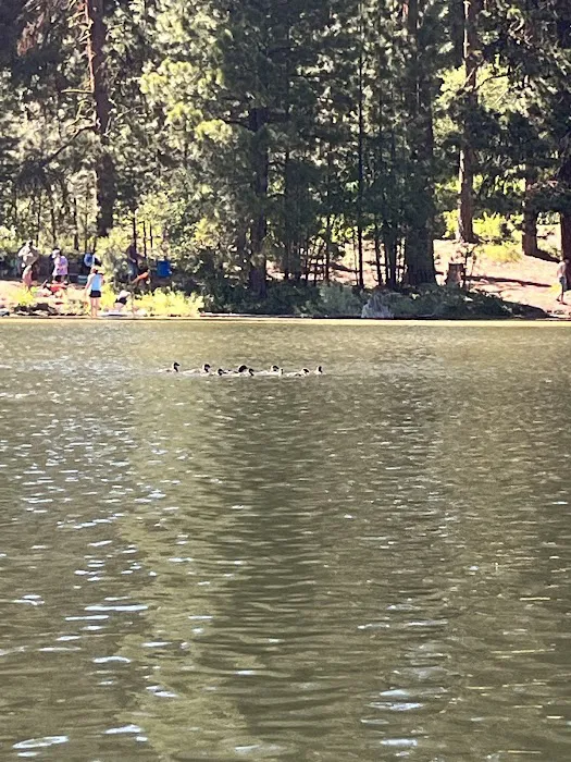 Antelope Campground 7