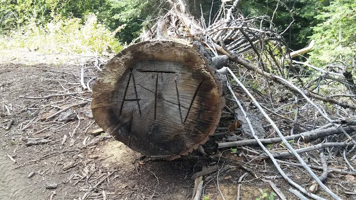 Cartwright Ridge Campground 1