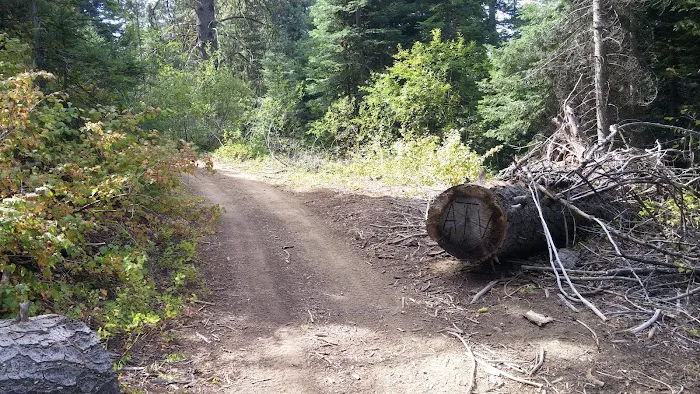 Cartwright Ridge Campground 2