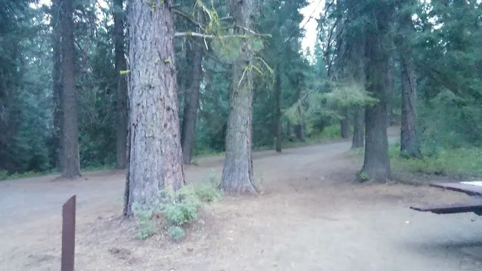 Cartwright Ridge Campground 4