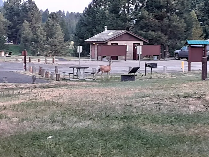 Blue Heron Campground 3