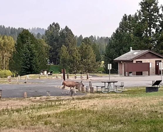 Blue Heron Campground