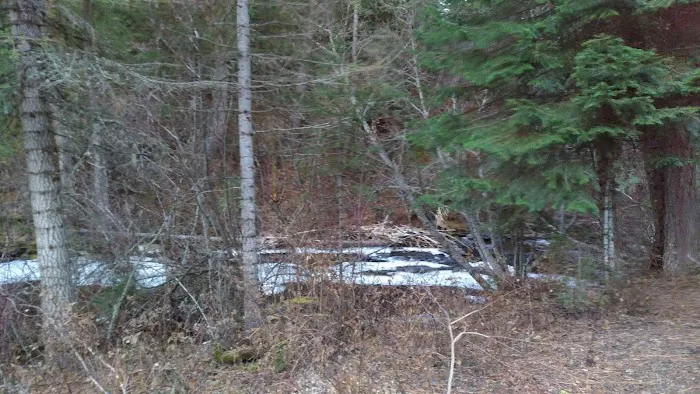 Big Flat Campground 7