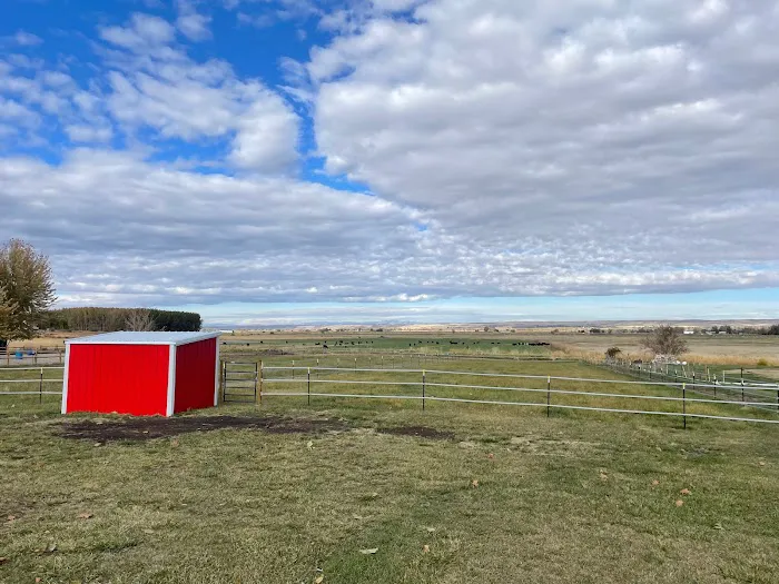 Mini Acres Farm 4