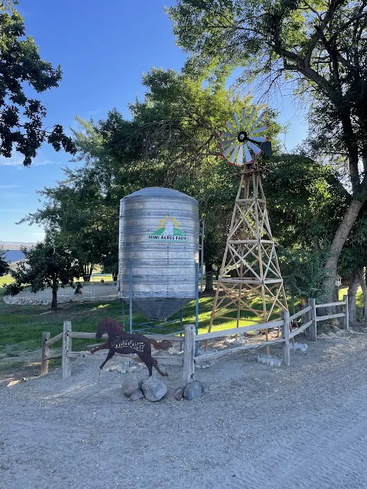 Mini Acres Farm 9