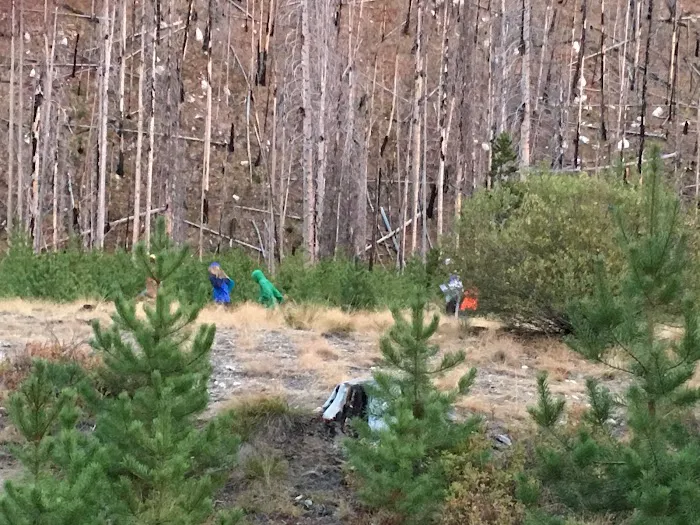 South Fork Salmon River Campground 8