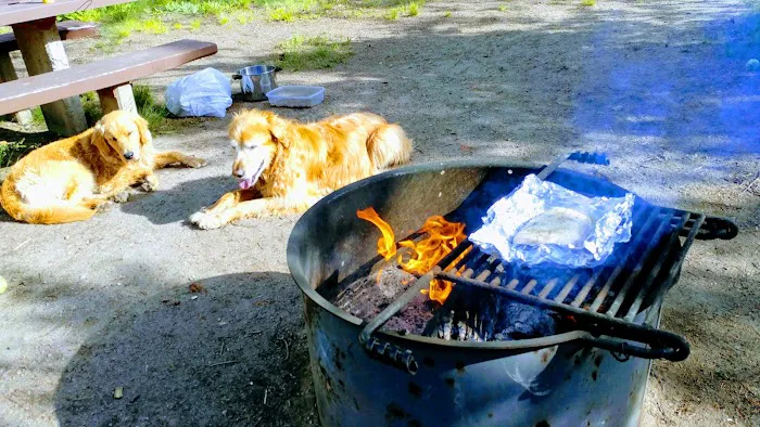South Fork Salmon River Campground 1
