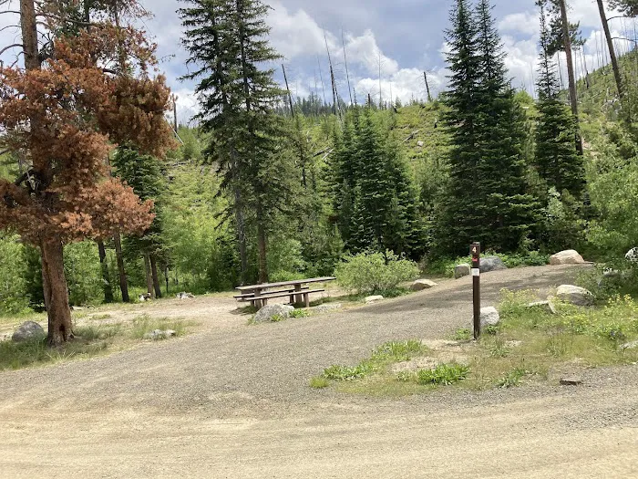 South Fork Salmon River Campground 0