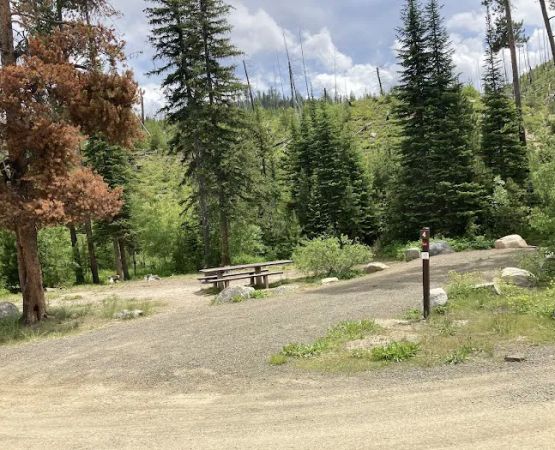 South Fork Salmon River Campground