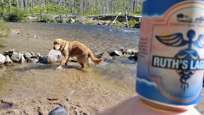 South Fork Salmon River Campground 2