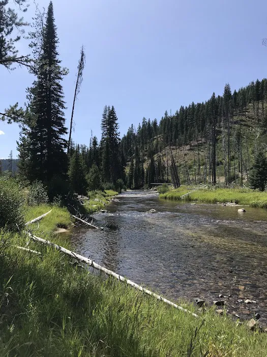 South Fork Salmon River Campground 3