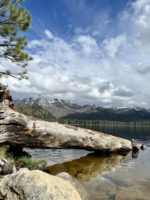 Shoreline Campground 5