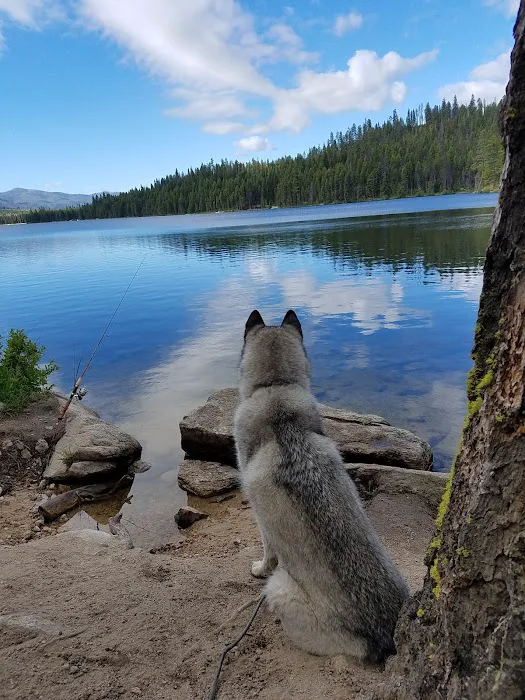 Shoreline Campground 8