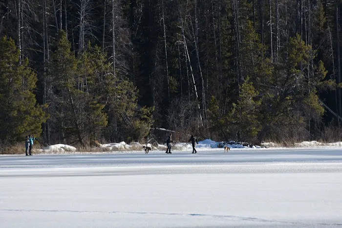 Shoreline Campground 2