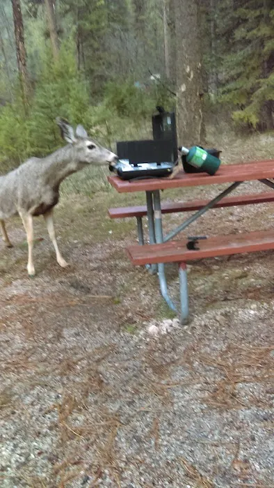 Poverty Flat Campground 0
