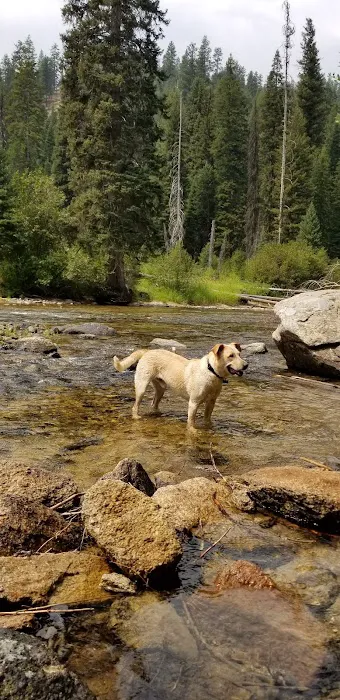 Poverty Flat Campground 8