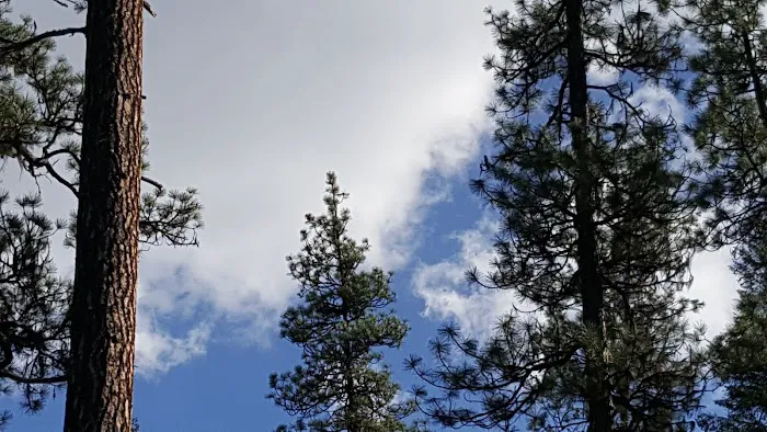 Poverty Flat Campground 4
