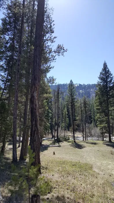 Poverty Flat Campground 6