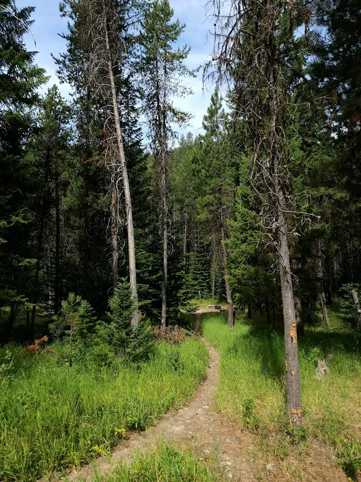 Poverty Flat Campground 9