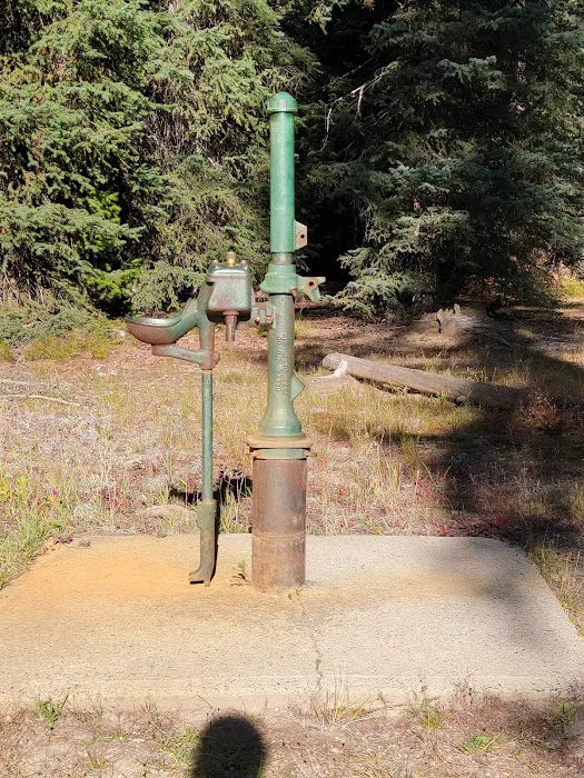 Kennally Creek Campground 7
