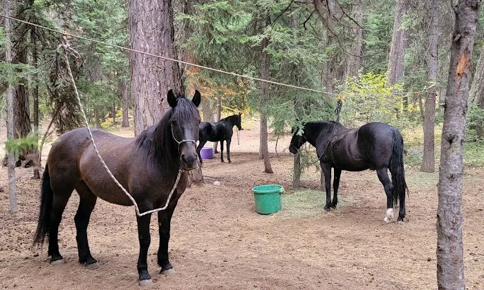 Kennally Creek Campground 5