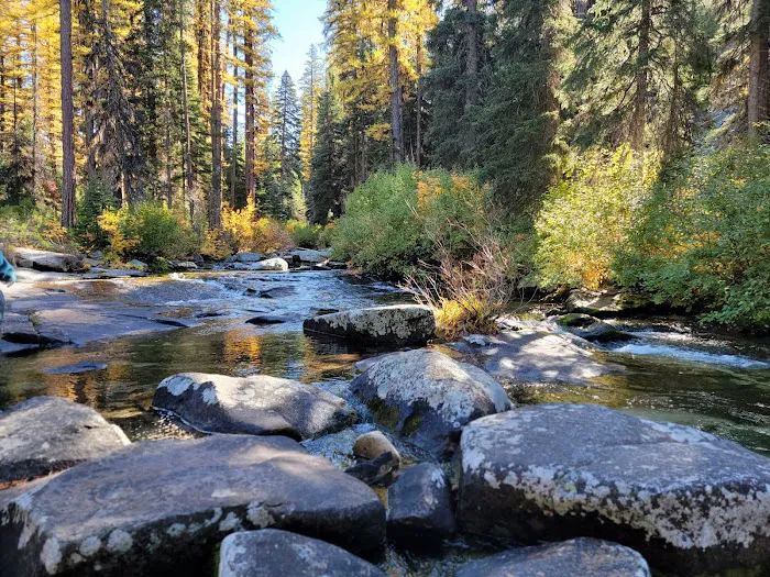 Kennally Creek Campground 9