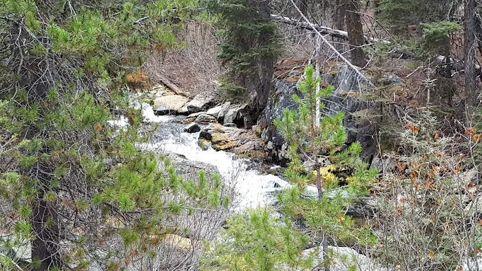 Kennally Creek Campground 2