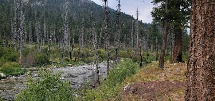 Ice Hole Campground 7